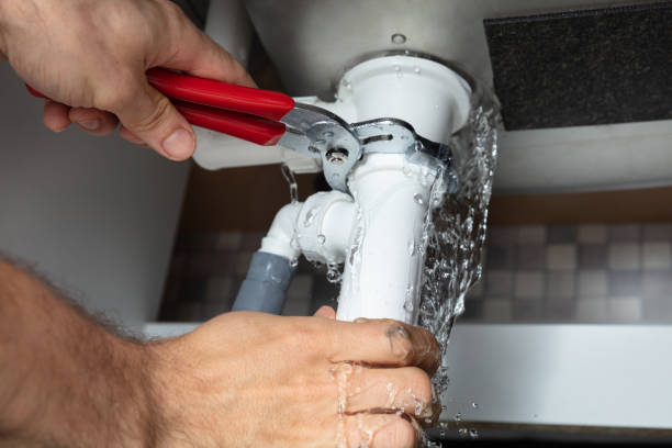 Best Water damage cleanup near me  in Rochester, IN