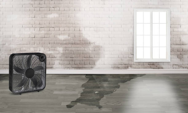 Trusted IN Water damage restoration Experts