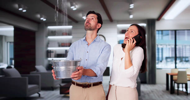 Best Water damage restoration near me  in Rochester, IN
