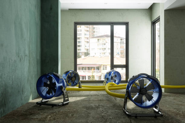 Best Fire Damage Restoration  in Rochester, IN